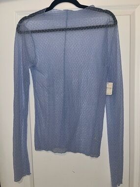 Sheer Light Blue Long Sleeve Mesh Top